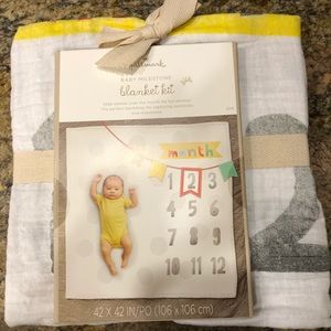 Brand new milestone blanket